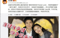 娱乐吃瓜明星离婚,当红明星离婚事件引发热议