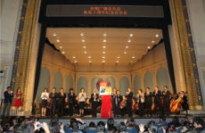 上海娱乐群,繁华都市的欢乐集结地