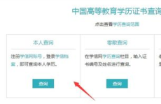我的证书查询,揭秘您的专业资质与成就