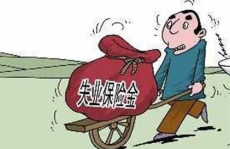 失业金,保障与挑战并存