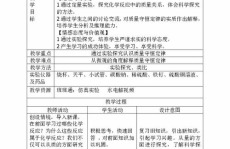 质量守恒定律教案,质量守恒定律教学实践解析