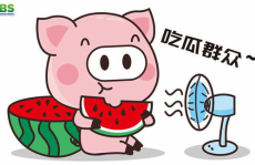 2022娱乐吃瓜动画,笑料百出，笑翻全网