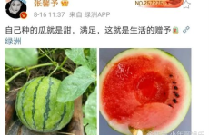 最近娱乐圈有什么瓜吃,明星秘闻大揭秘！
