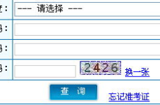 陕西会计网成绩查询,一键掌握考试得分详情