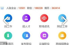 人才网下载官方,职场精英必备技能与职业发展路径解析