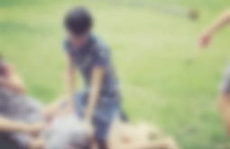 文文娱乐吃瓜,揭秘娱乐圈最新吃瓜事件