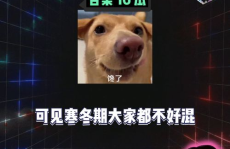 娱乐八卦吃瓜图片,吃瓜群众视角下的明星幕后故事
