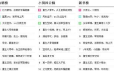 小说网站排名,揭秘热门小说网站排名背后的故事