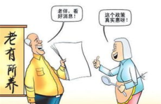 农民养老保险政策,保障农民养老权益，构建和谐农村社会