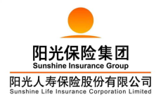 阳光保险公司简介,中国领先的综合保险集团，守护您的未来