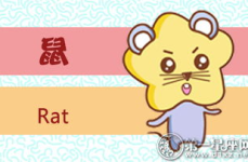 七七四十九是什么生肖,探寻生肖轮回之谜