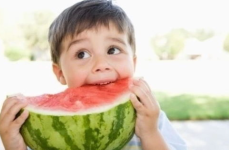 娱乐吃瓜酱和朋友去旅行,趣味横生之旅记