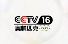 cctv3在线直播,精彩节目轮番上演，尽享视听盛宴